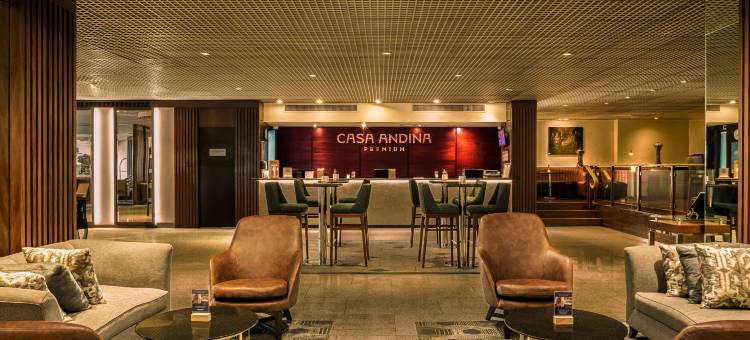 米拉弗洛雷斯安第斯高端家(Casa Andina Premium Miraflores)图片