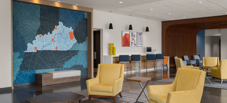 列克星敦马术公园地区洲际智选假日酒店(Holiday Inn Express Lexington Horse Park Area by IHG)图片