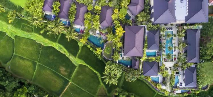 德瓦拉皇家别墅(Dwaraka the Royal Villas)图片