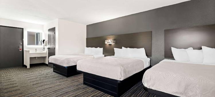 杜马斯伊克诺旅馆(Econo Lodge Dumas)图片