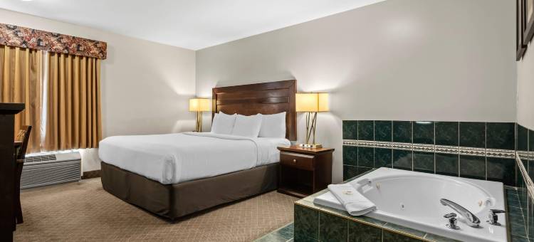 舒适套房酒店南机场店(Comfort Inn & Suites Airport South)图片