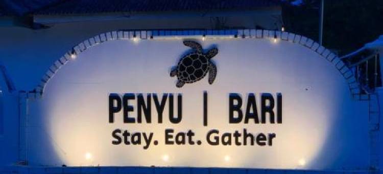 Penyu Bari图片