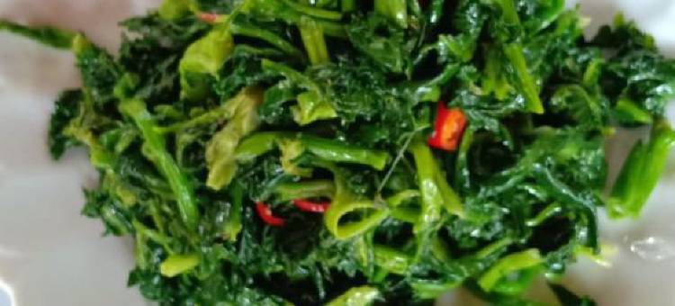 麦积山小马烤全羊民宿图片