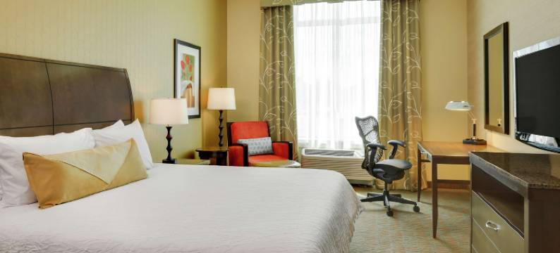 曼哈顿希尔顿花园酒店(Hilton Garden Inn Manhattan)图片