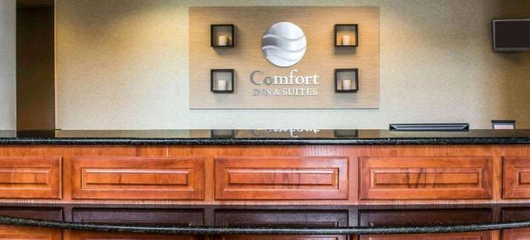 舒适套房酒店(Comfort Inn & Suites Panama City - St Andrew)图片