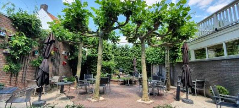 布朗尼&唐尼住宿加早餐旅馆(Slapen Bij Brownies & Downies)图片