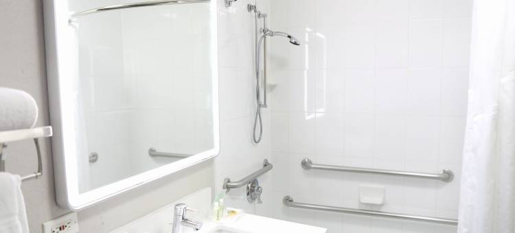 Holiday Inn 芝加哥OAKBROOK(Holiday Inn Chicago Oakbrook)图片