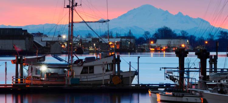 威斯汀温哥华机场沃尔中心酒店(The Westin Wall Centre, Vancouver Airport)图片