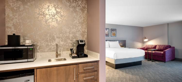 波士顿洛根机场希尔顿花园酒店(Hilton Garden Inn Boston Logan Airport)图片