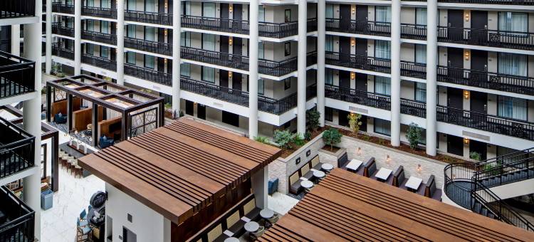 锡拉库兹希尔顿安泊酒店(Embassy Suites by Hilton Syracuse)图片