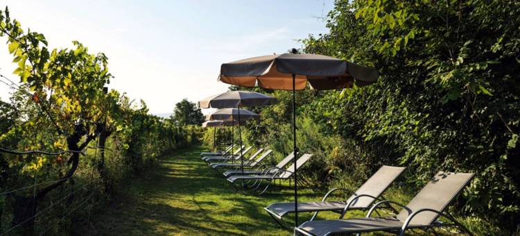 克雷姆斯水疗中心施柏阁酒店(Steigenberger Hotel and Spa, Krems)图片