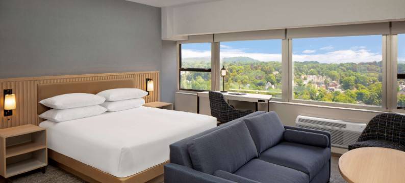 莫里斯敦凯悦酒店(Hyatt Regency Morristown New Jersey at Hqs Plaza)图片