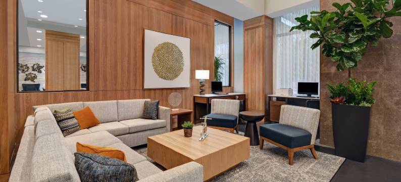 休斯顿加勒里亚区智选假日酒店(Holiday Inn Express HOUSTON - GALLERIA AREA by IHG)图片