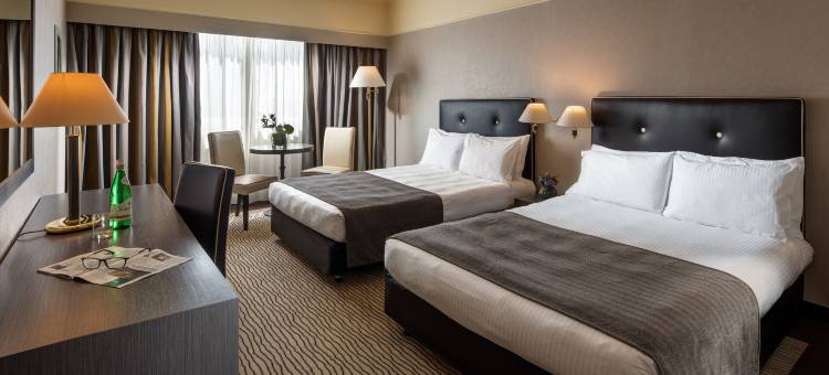 罗马欧洲帕克德伊美第奇假日酒店(Holiday Inn Rome - Eur Parco Dei Medici)图片