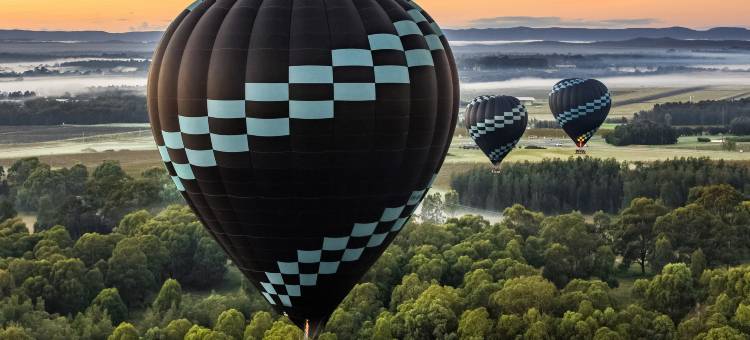 猎人谷瑞吉斯度假酒店, EVT旗下(Rydges Resort Hunter Valley, an EVT hotel)图片