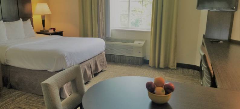 Candlewood Suites 雪城(Candlewood Suites EAST SYRACUSE - CARRIER CIRCLE by IHG)图片