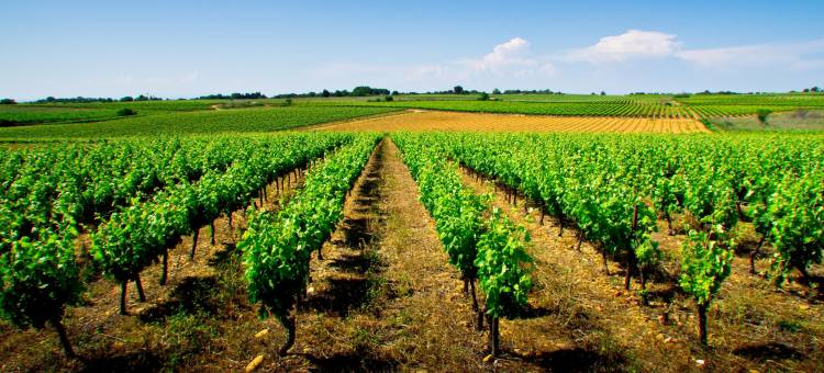 蒙彼利埃-奥德赛姆智选假日酒店(Holiday Inn Express Montpellier - Odysseum)图片