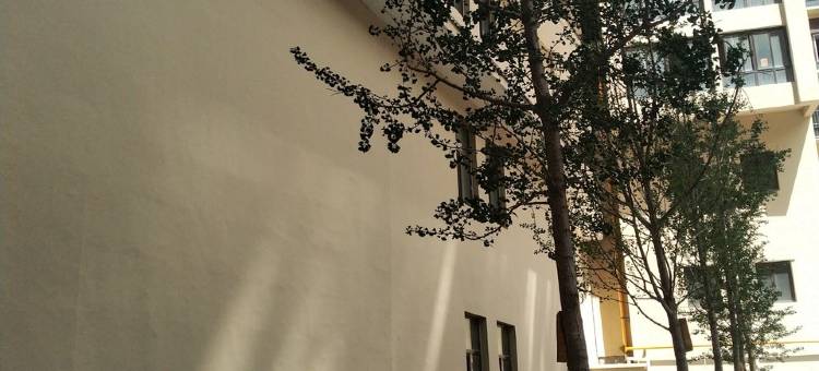 嘉陵朴宿公寓(黄蒿洼路分店)图片