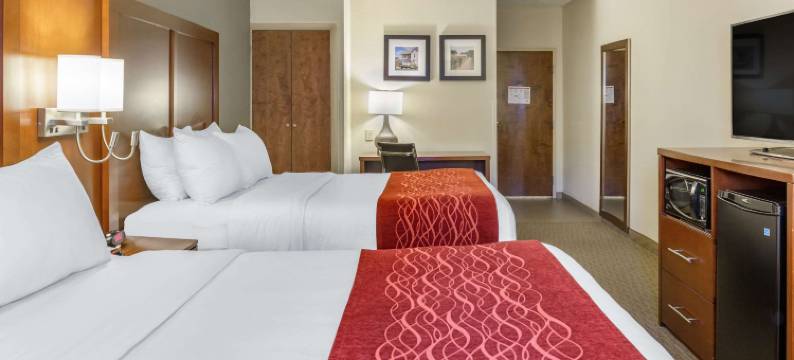 罗克韦尔兰开斯特舒适酒店(Comfort Inn Lancaster at Rockvale)图片