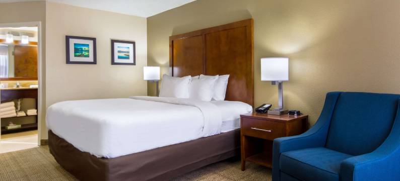 阿克沃思舒适酒店-西北肯尼索(Comfort Inn Acworth - Kennesaw Northwest)图片