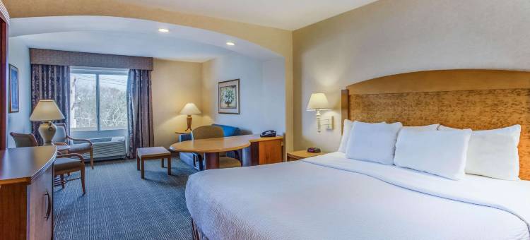 艾斯利普麦克阿瑟机场拉昆塔温德姆套房酒店(La Quinta Inn & Suites by Wyndham Islip - MacArthur Airport)图片