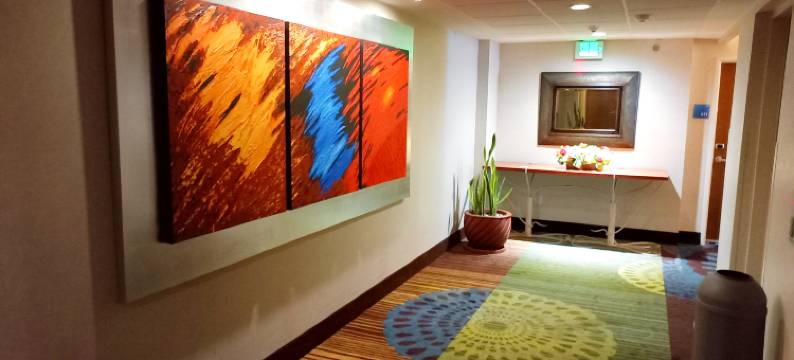 智选假日套房酒店库埃纳瓦卡(Holiday Inn Express & Suites CUERNAVACA by IHG)图片