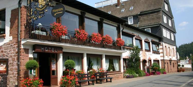 赛弗里德布鲁门环形酒店(Ringhotel Siegfriedbrunnen)图片