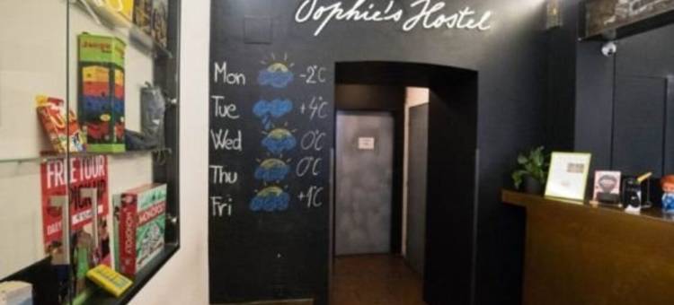 苏菲之家青年旅馆(Sophie's Hostel)图片