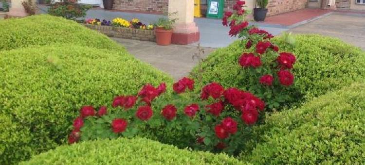 蓝岭美洲最佳价值酒店(Americas Best Value Inn Blue Ridge)图片