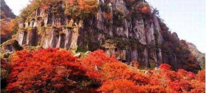 大分中津站前超级酒店(天然温泉「扇城之汤」)(SUPER HOTEL Oita Nakatsu Station)图片