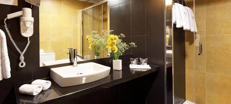 阿利夫阿万达斯酒店(Hotel Alif Avenidas)图片