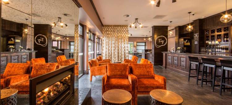 基督城榆树品质酒店 - 阿桑德连锁酒店(Hotel Elms Christchurch, Ascend Hotel Collection)图片