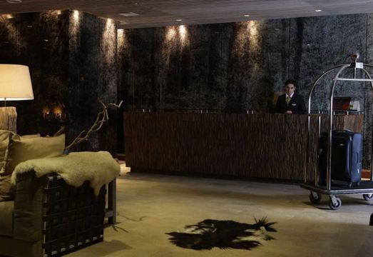 Hotel Dreams de la PatagoniaHotel Overview