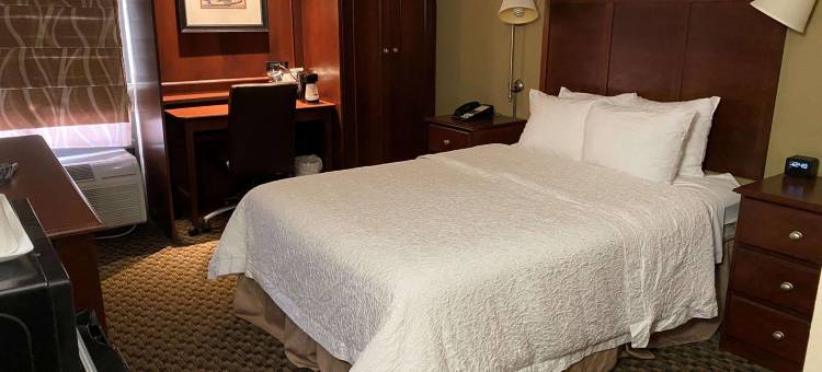艾迪生酒店 - 贝斯特韦斯特修尔住宿精选酒店(The Addison Hotel, SureStay Collection by Best Western)图片