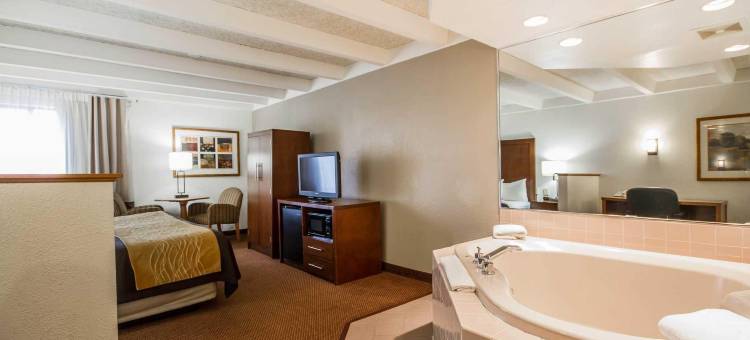 舒适酒店及套房麦迪逊机场(Comfort Inn & Suites Madison - Airport)图片