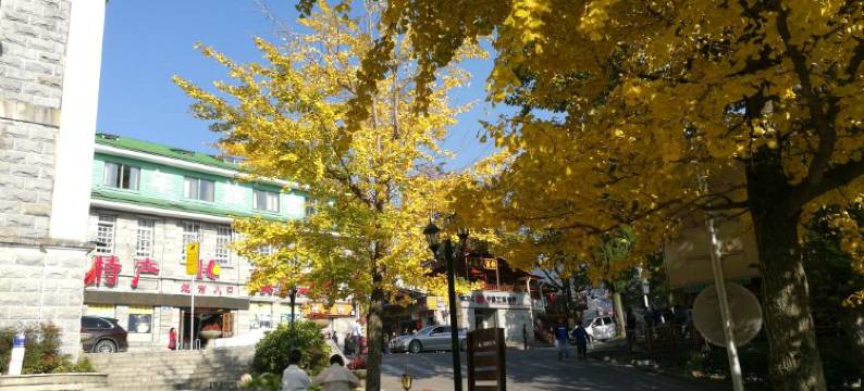 庐山庐荣家庭旅馆图片