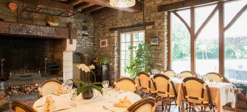 罗氏托林庄园原生酒店(Manoir de la Roche Torin the Originals Relais)图片