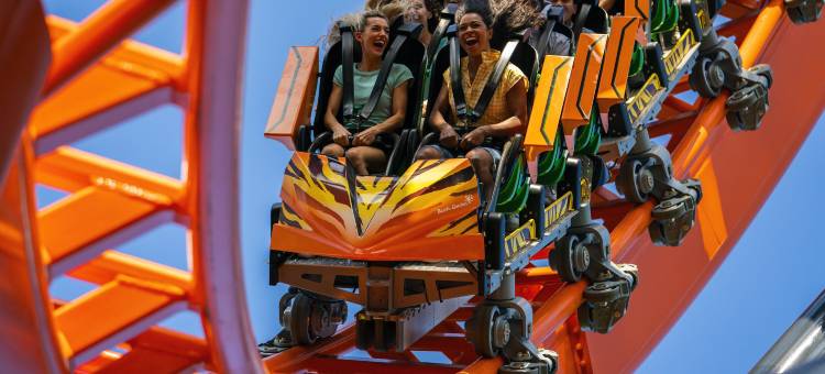 坦帕I-75布鲁斯B唐斯智选假日套房酒店(Holiday Inn Express & Suites Tampa-I-75 @ Bruce B. Downs)图片