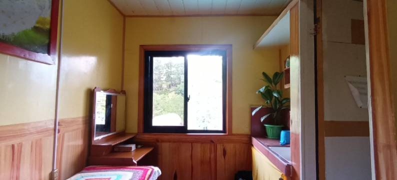 祖母黄楼酒店(Grandma's Yellow House)图片