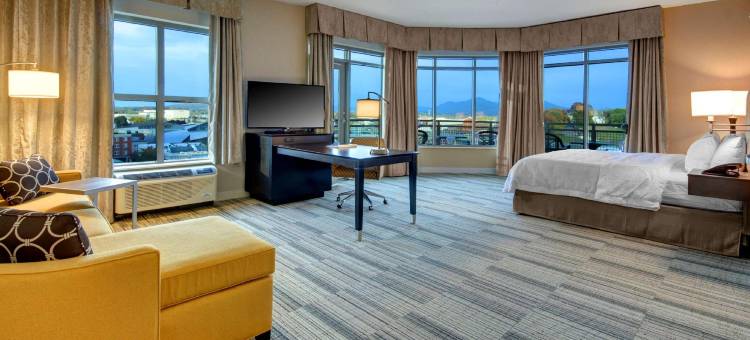欢朋酒店 - 弗吉尼亚州罗阿诺克市中心(Hampton Inn & Suites Roanoke Downtown)图片