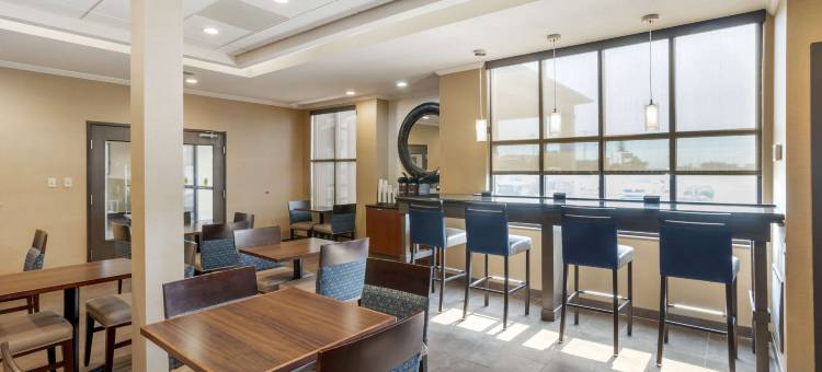 舒适套房酒店(Comfort Inn & Suites)图片