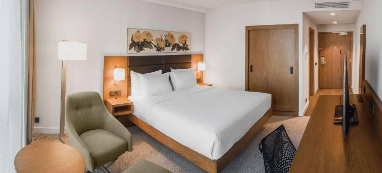第比利斯希尔顿花园酒店(Hilton Garden Inn Tbilisi Chavchavadze)图片