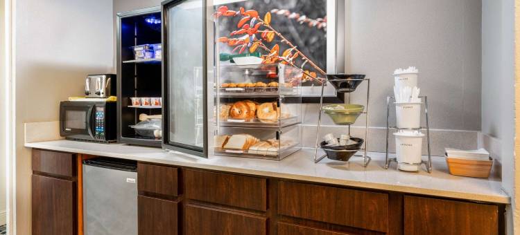 北伍德兰兹温德姆速 8 酒店(Super 8 by Wyndham The Woodlands North)图片