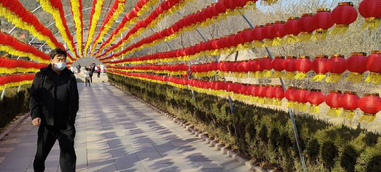 星好渔家公寓(中区二街分店)图片