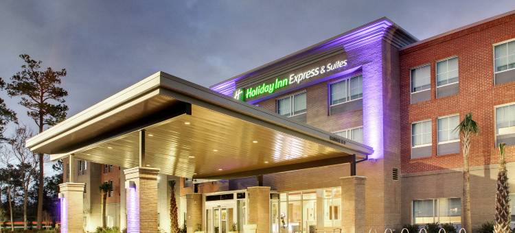 智选假日套房酒店芒特普林森(Holiday Inn Express & Suites Charleston NE MT Pleasant US17)图片