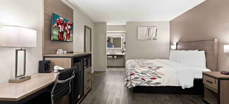 北卡罗来纳门罗红屋顶套房酒店(Red Roof Inn & Suites Monroe, NC)图片