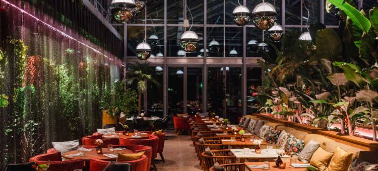 斯莱柏林(Sly Berlin)图片