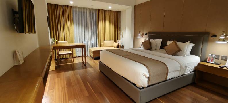 乌代布尔骄傲酒店(Pride Hotel Udaipur)图片