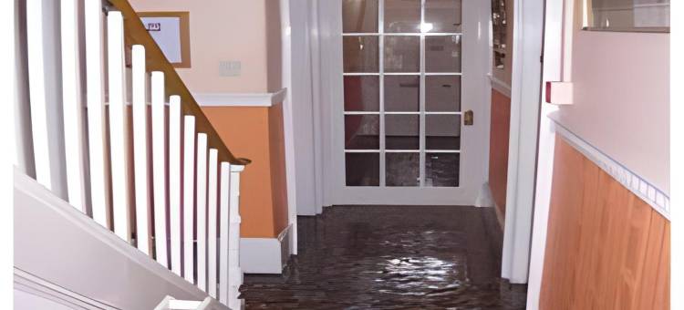 红屋旅馆(The Red House)图片