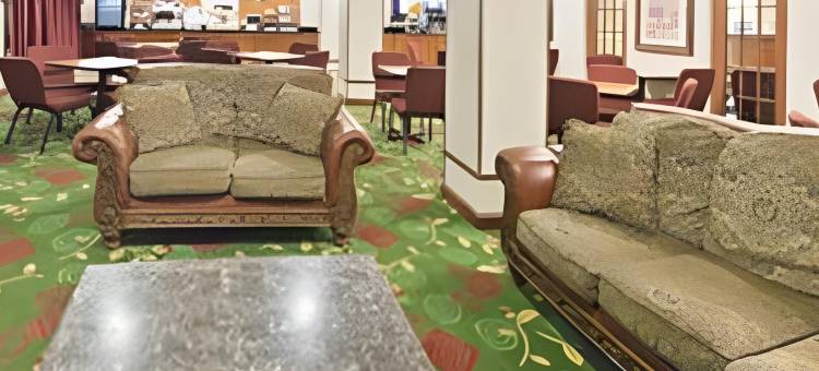 智选假日套房酒店纽约普莱恩维尤by IHG(Holiday Inn Express & Suites Plainview)图片